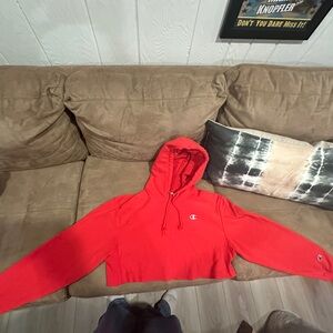 Champion Reverse Weave Cropped Hoodie
Purchased at Urban Outfitters